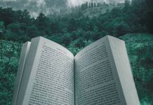 Преимущества чтения книг перед сном и правила их правильного выбора и проведения