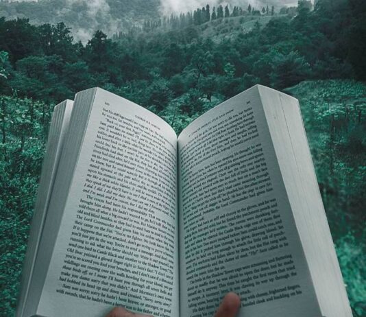 Преимущества чтения книг перед сном и правила их правильного выбора и проведения