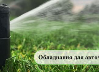 Автополив газона: почему это выгодное решение для вашего участка