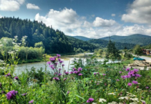 Новини України у 2026 році: як ФАКТ допомагає бачити реальність