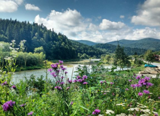 Новини України у 2026 році: як ФАКТ допомагає бачити реальність